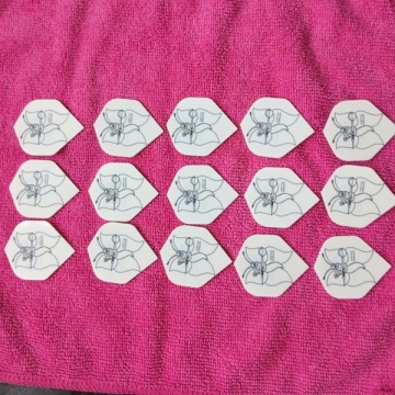 5 Sets Dart Flights